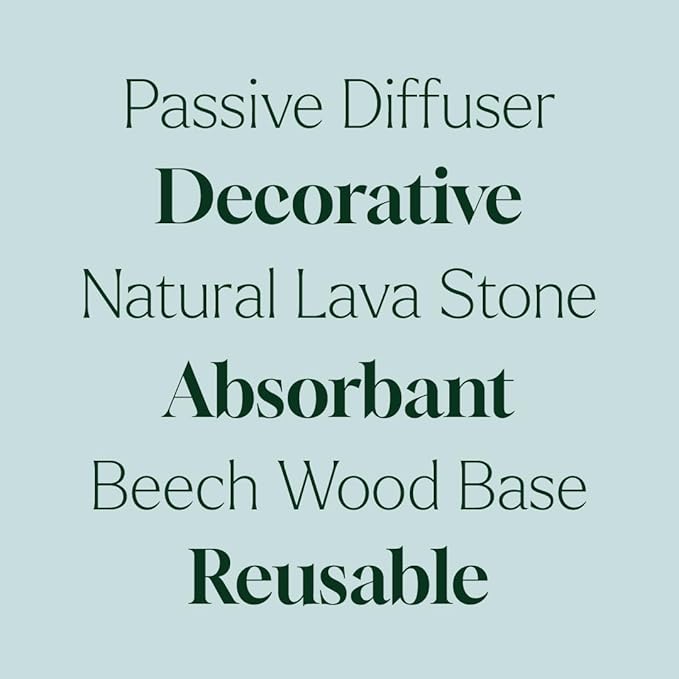 Plant Therapy Lava Rock Passive Diffuser for Essential Oils Great for Decorating at Home, Office or Car, and Gift-Giving