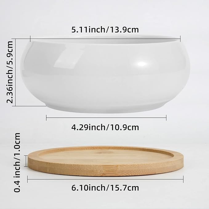 ZOUTOG 2 Pack Succulent Pots, 6 inch Ceramic Planters for Indoor Plants with Bamboo Tray, Pots with Drainage, Seeds＆ Plants Not Included