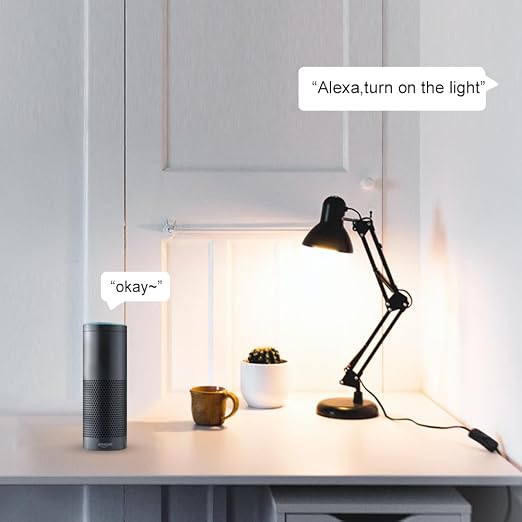 Smart Plug Compatible with Alexa and Google Home, WiFi Smart Outlet Socket Remote Control Timer Function, Only 2.4GHz Network