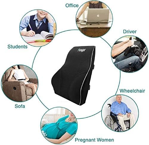 Feagar Lumbar Support Pillow Back Support- Extra Large Memory Foam Pillows | for Lower Back Pain Relief, for Car Seat Office Chair Home, Low Back Pillow Chair Cushions with Extension Strap, Black
