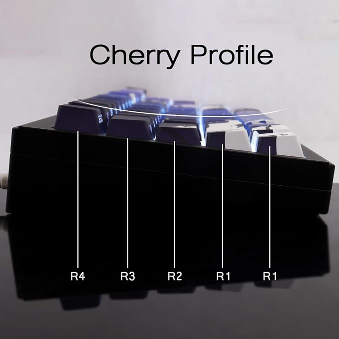 Sunzit Keycaps - Side Print Keycaps 75 Percent, Shine Through Custom Key caps, Japanese PBT Keycap Set Dye Sub, Double Shot, 131 Keys Cherry Profile Keyboard Keycap for Mechanical Keyboard, Snow Wolf