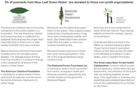 New Leaf Green Notes™ Memo Books, Sustainably Designed, 100% Recycled Paper, Ash Embossed Cover, Dotted Grid Pages, 3.5" x 5.5", 3 Books Per Pack
