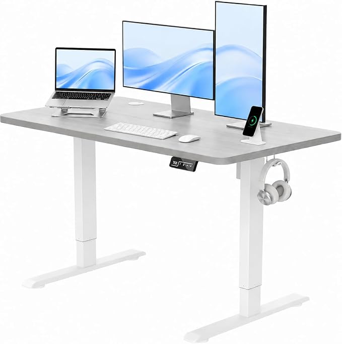 IWAYLIFE 48 Inch Electric Standing Desk, Height Adjustable Stand Up Desk for Home Office, Sit Stand Computer Desk with Memory Presets, Ergonomic Gaming Desk, Grey