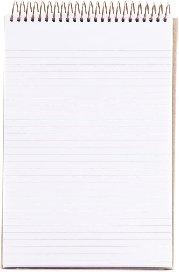 Mintra 100% Recycled Notebooks (Steno Book, Kraft Cover 3pk)