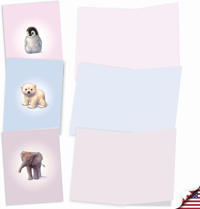 The Best Card Company Assorted Wildlife Watercolor Blank Animal Greeting Card Box Set - 10 Unique Notecards Designs + Envelopes, for Thank You, Invitations, More - Zoo Babies M6726OCB