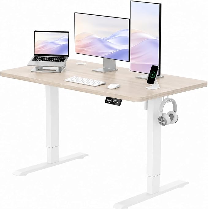 IWAYLIFE 48 Inch Electric Standing Desk, Height Adjustable Stand Up Desk for Home Office, Sit Stand Computer Desk with Memory Presets, Ergonomic Gaming Desk, Wood