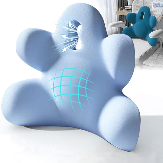 Lumbar Support Pillow for Office Chair, Back Pillow Lumbar Support for Car, Chair, Sofa - Improve Lower Back Pain Relief & Sitting Posture, Memory Foam Back Cushion for Long Sitting (B-Blue)