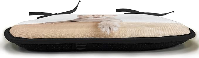 Lunarable Cat Chair Cushion Pads Set of 2, British Cat in Cardboard Box Little Striped Fur Looking at Camera Picture, Anti-Slip Seat Padding for Kitchen & Patio, 16"x16", Sand Brown White