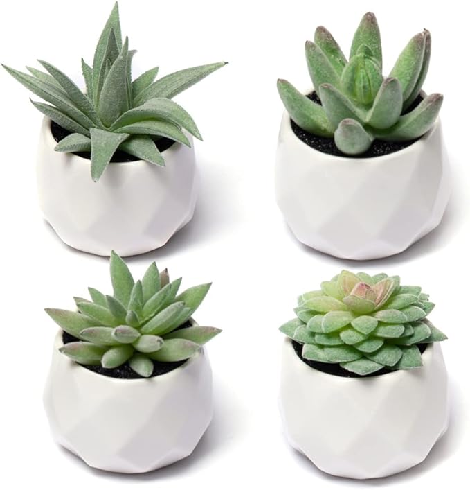 CADNLY Fake Succulent Plant Set - Artificial Plants for Women Desk - Realistic Faux Succulents in Ceramic Pots - Mini Green Decor for Bedroom Bathroom Office Shelf 4 Pack
