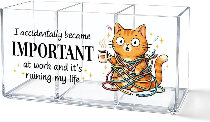 I Accidentally Became Important at Acrylic Pen Holder 3 Compartments, Funny Cat Burnout Clear Desktop Organizer for Office School Home, Office Humor Gifts for Cat Mom Friends Coworkers Boss