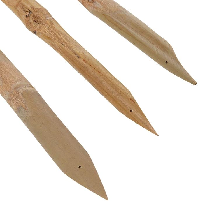 COMIART 3 Pcs Double Head Hard Strong Bamboo Reed Pens Pottery Ceramic Shaping Tools Polymer Clay Tool