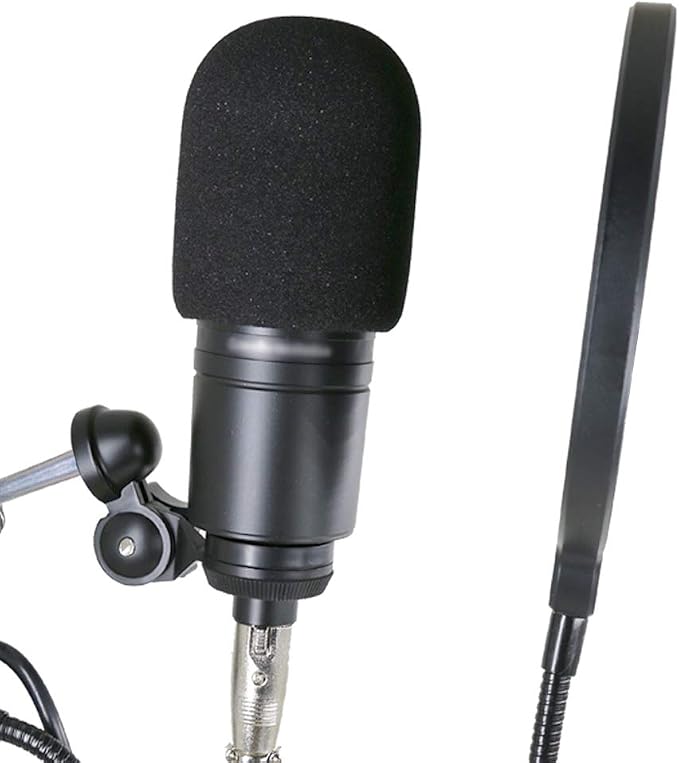 Audio-Technica AT2020 Pop Filter - 2 Windscreens for AT2020 & AT-2035 Microphones (Black)