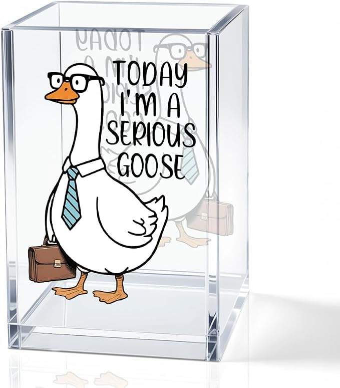 Today I'm A Serious Goose Acrylic Cosmetic Pencil Holder Cup, Funny Silly Goose Pen Holder Gifts For Women Men Friends HR Boss, Office Sarcastic Humor Gifts for Coworkers, Goose Lover Present