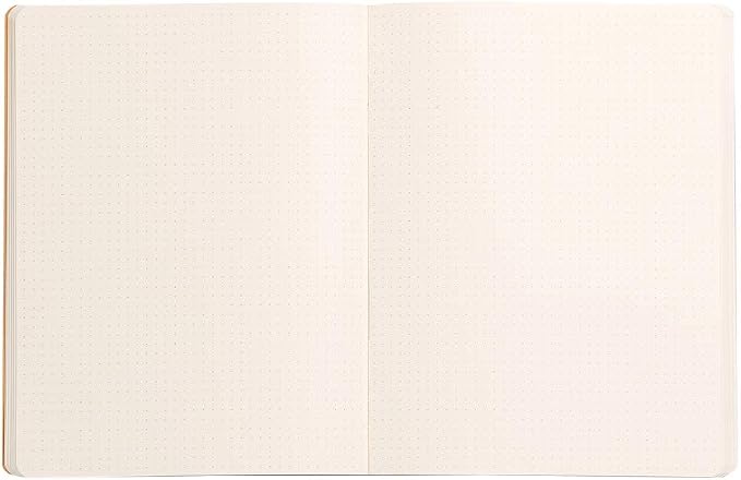 Rhodia Rhodiarama SoftCover Notebook - 80 Dots Sheets - 9 3/4 x 7 1/2 - Silver Cover (117551C)
