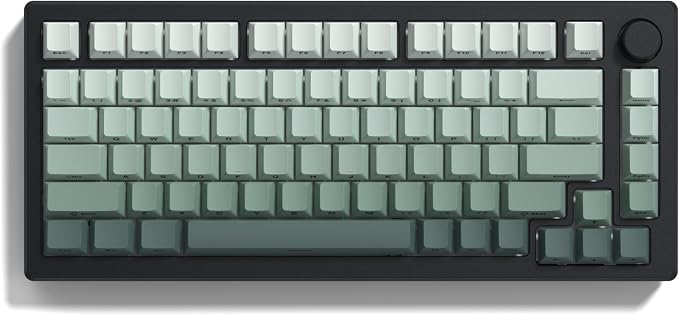 dagaladoo Double Shot PBT keycaps Set,Shine Through Keyboard keycaps Gradient 60% 75% 100%,OEM Profile Keyboard caps,Side Printed Key caps for Mechanical Gaming Keyboards,Seaweed Green