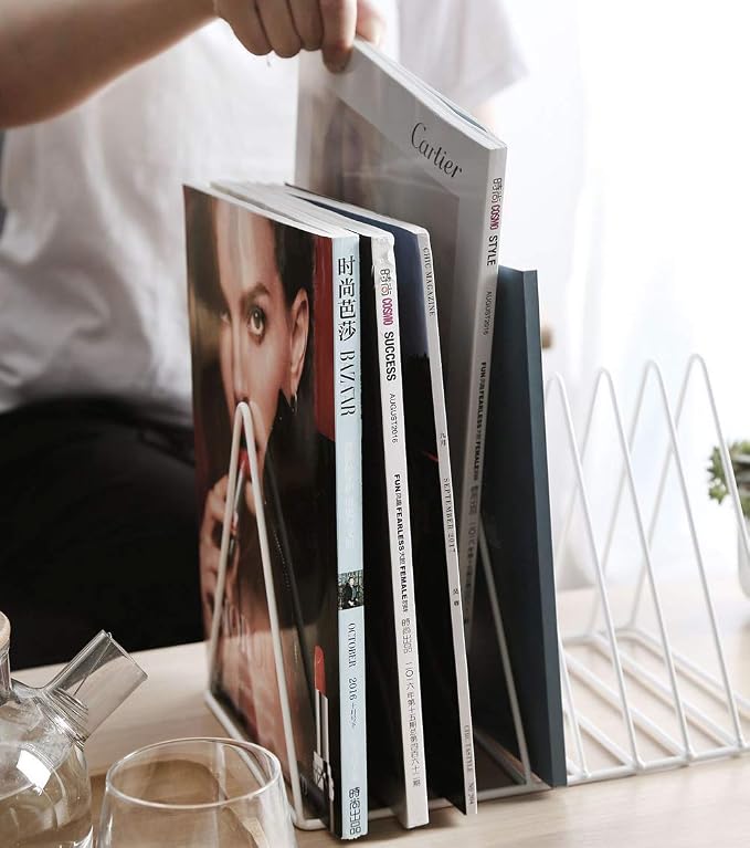 Sooyee 2 Pack 9 Slot White Magazine Holder, Desktop File Sorter Organizer Triangle Bookshelf Decor for Home Office, Iron Wire