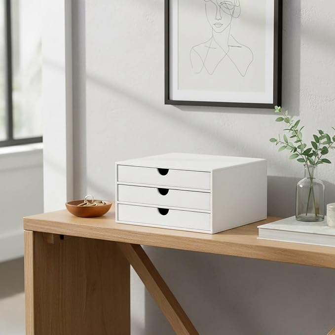 UnionBasic Document Organizer, 3-Drawer File Cabinet Document Storage Box, Office Desktop Filing Organizer, White
