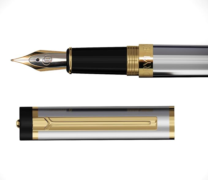 Dryden Designs Fountain Pen - Medium Nib and Fine Nib | Includes Luxury Box, 6 Ink Cartridges - 3 Black 3 Blue and Ink Refill Converter - Metallic Silver