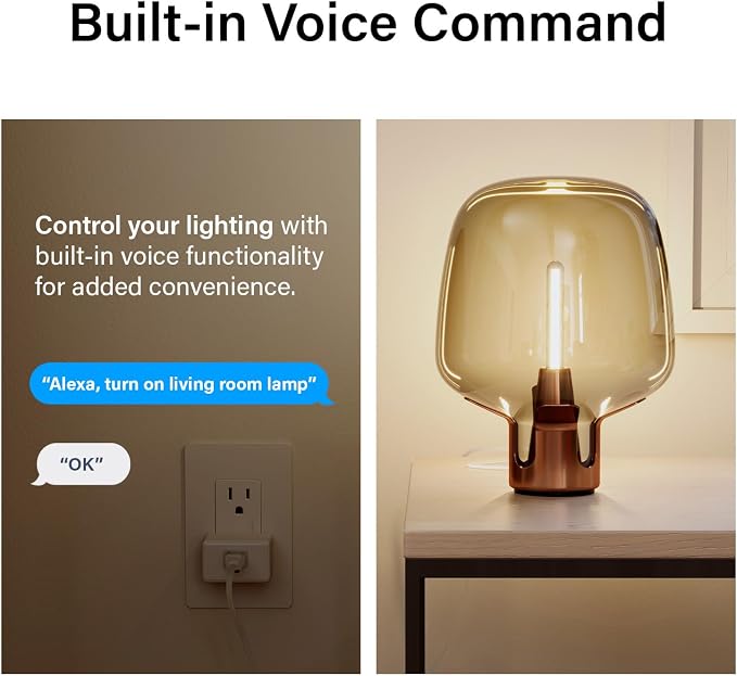 Legrand Radiant® Wi-Fi Matter Smart Plug Matter Hub Required 15A, Easy Setup, Enhanced Compatibility with Apple HomeKit, Google Home, Alexa & SmartThings, Easy Wi-Fi Connectivity w/ Matter (2 Pack)
