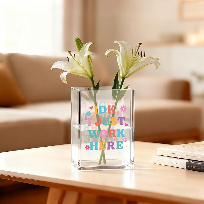 I Just Work Here Acrylic Cosmetic Organizer Pen Holder, Funny Acrylic Desk Holder Cup for Pen Pencil, Humorous Sarcastic Gifts for Coworker Leader Mentor, Office Work Gifts for Family Friend
