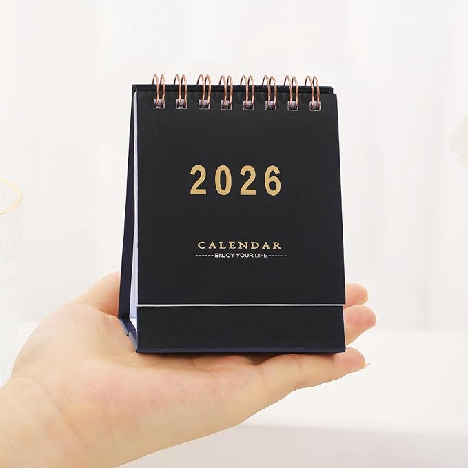 Mini Desk Calendar 2026, Standing Flip Small Desk Calendar- Jan 2026 to Jun 2027 Monthly Desktop Calendar- Thick Paper Twin-Wire Binding for Home or Office (Black)