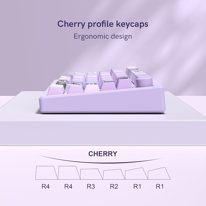 dagaladoo Double Shot PBT keycap Set,Purple Keyboard keycaps Shine Through,Side Print Custom keycap 60 75 100 Percent,dye-sub Cherry Profile keycaps for Machine Keyboard(Violet)