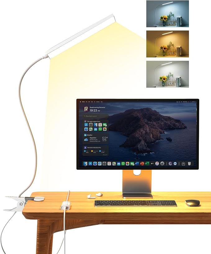Eye-Caring Adjustable LED Reading Clamp Desk Lamp with 48 LEDs Flexible Neck, 3 Color Modes & 11 Brightness Levels for Office Bedroom Study (White)