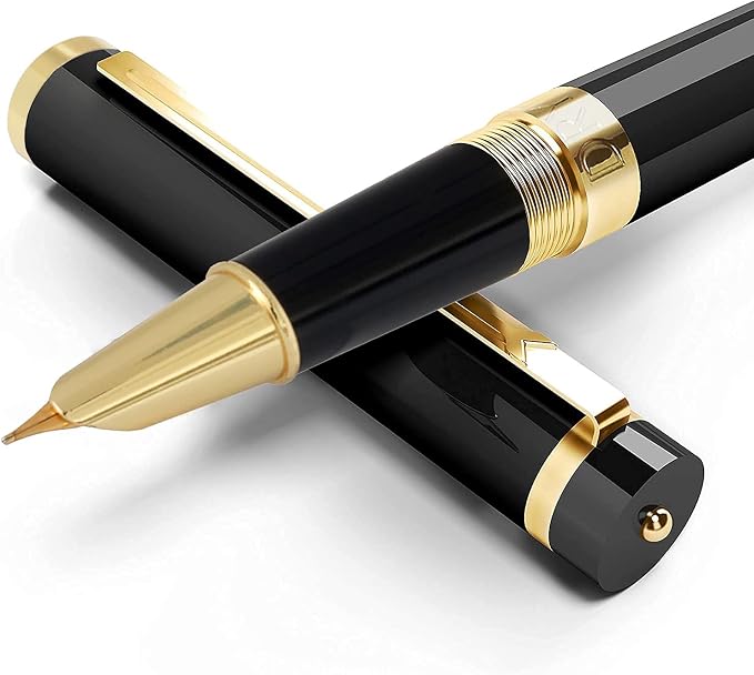 Dryden Designs Fountain Pen - Medium Nib and Fine Nib | Includes Luxury Box, 6 Ink Cartridges - 3 Black 3 Blue and Ink Refill Converter - Intense Black