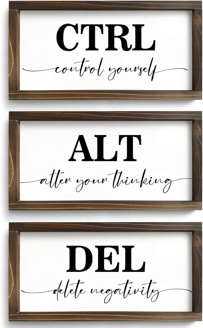 Pinetree Art Motivational Wall Decor for Office, Set of 3 Rustic Wooden Framed Signs, CTRL ALT DEL Inspirational Wall Art for Home Office, Classroom, Desk Wall, Positive Mindset Decor, (6"x12"x3)