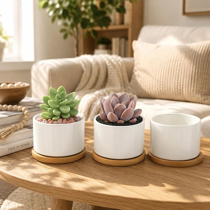 ZOUTOG 12 Pack Ceramic Succulent Pots,3.6 Inch Plant Pots,Succulent Planters with Drainage Hole & Bamboo Tray for Indoor Plants,White Small Flower Planters for Home,Office,Desk