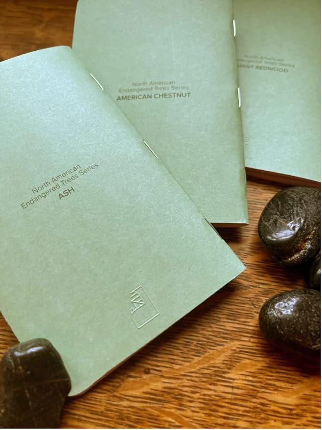 New Leaf Green Notes™ Memo Books, Sustainably Designed, 100% Recycled Paper, Chestnut Redwood and Ash Embossed Covers, Blank Lined and Dotted Page Mixed Pack, 3.5" x 5.5", 3 Books Per Pack