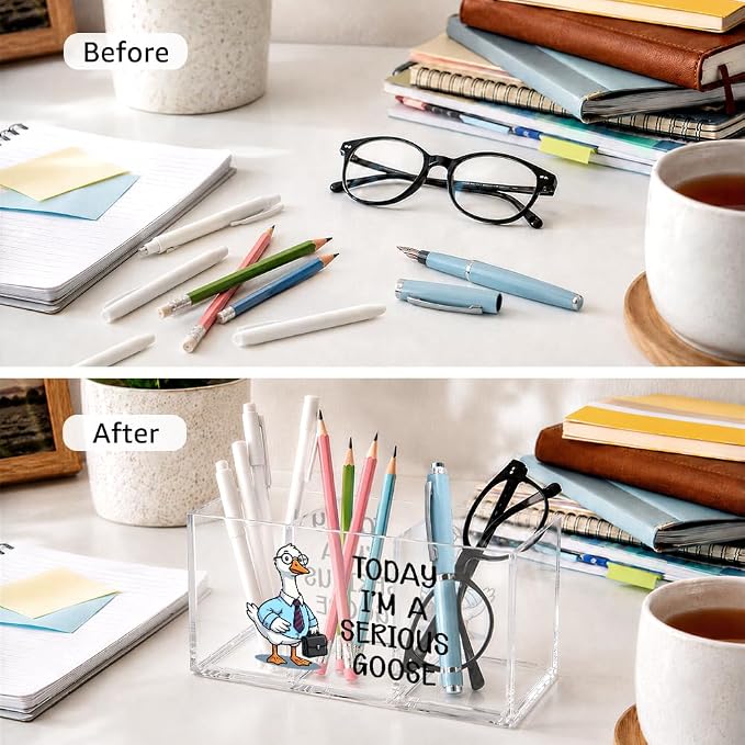 Today I'm a Serious Goose 3 Slot Acrylic Pen Holder Desk Organizer | Silly Goose Office Desk Organizer Accessories, Sarcastic Office Gifts for Coworker, Employee Appreciation Gifts
