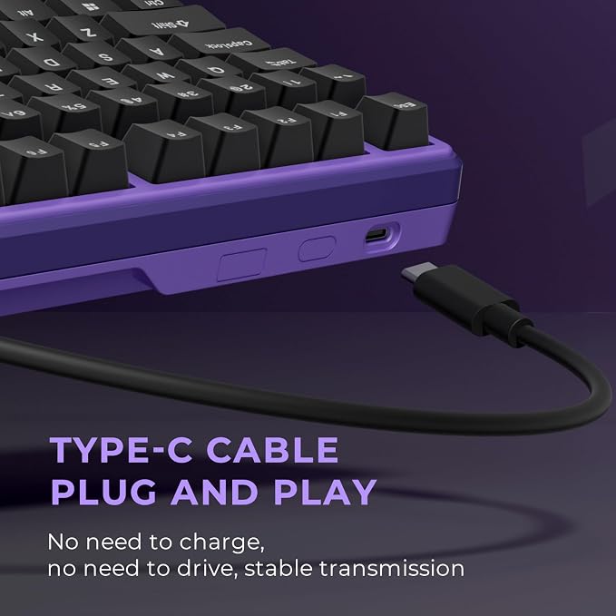 RK ROYAL KLUDGE X87 Mechanical Keyboard 75% Wired Keyboard Gaming with 86 Keys, Gasket Mount, Ice-Blue Backlight, Purple Shell Design, Software Support, Hot-Swappable Creamy Switch Black
