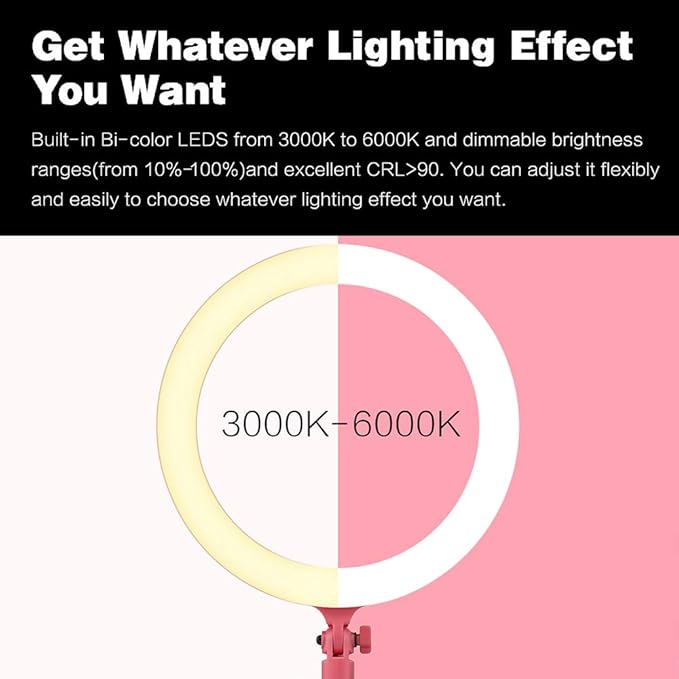 GODOX LR120 12 Inch LED Ring Light Photography Light Fill-in Light 3000K-6000K Bi-Color Temperature Adjustable Brightness USB Powered with Phone Holder for Live Streaming Selfie Makeup Photography