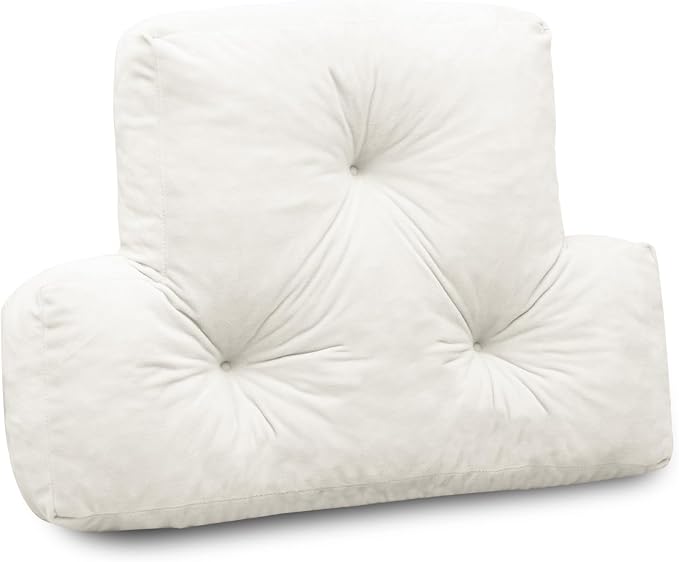 1 MIDDLE ONE Back Pillow for Chair, Memory Foam Lumbar Pillow for Back Support, Back Rest Cushion for Office, Sofa, Couch Sitting, Recliner, Bed and Lower Back Pain (Beige)