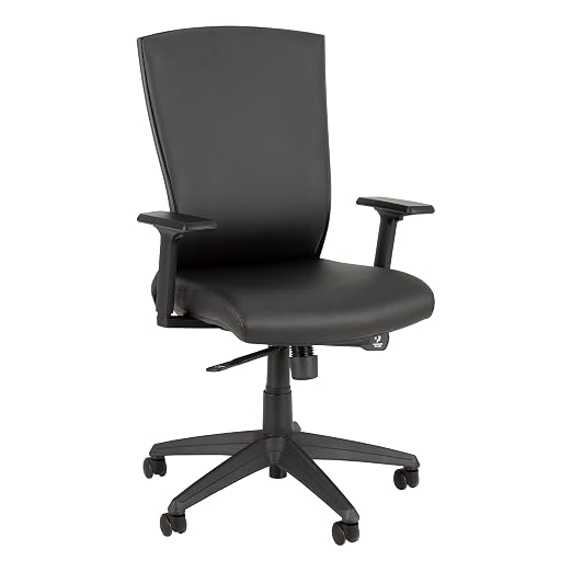 Norwood Commercial Furniture Contemporary Premium High Back Fully-Adjustable Executive Office Desk Task Chair for Home, Office, Classroom - Black (NOR-IAH3060BLK-SO)
