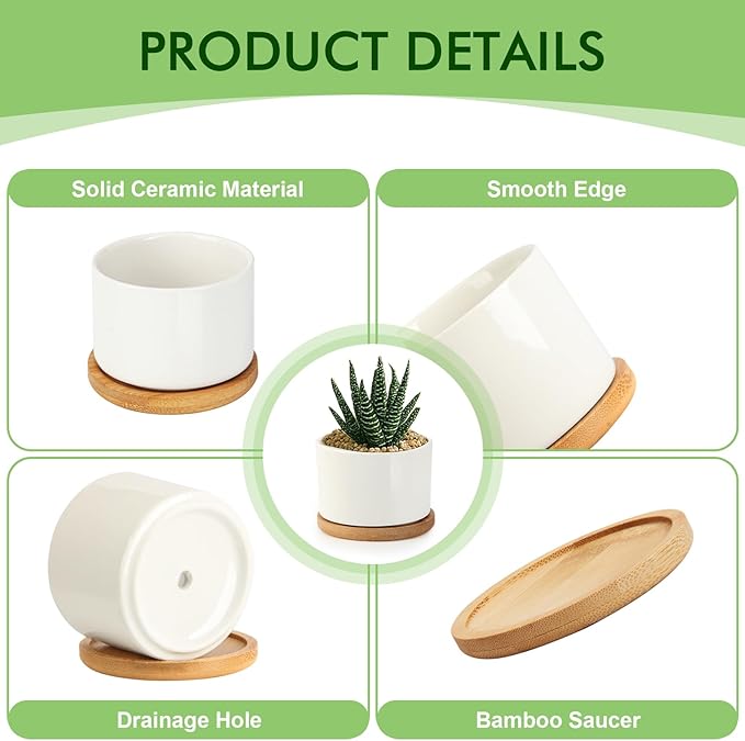 ZOUTOG 12 Pack Ceramic Succulent Pots,3.6 Inch Plant Pots,Succulent Planters with Drainage Hole & Bamboo Tray for Indoor Plants,White Small Flower Planters for Home,Office,Desk