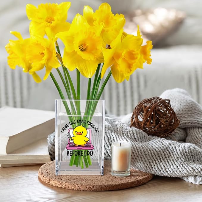 I Hope This Email Finds You Before I Do Acrylic Cosmetic Pencil Pen Holder Cup, Funny Duck Knife Desk Organizer for Home Office Decor, Sarcastic Work Gifts for Women Men Duck Lovers Coworkers