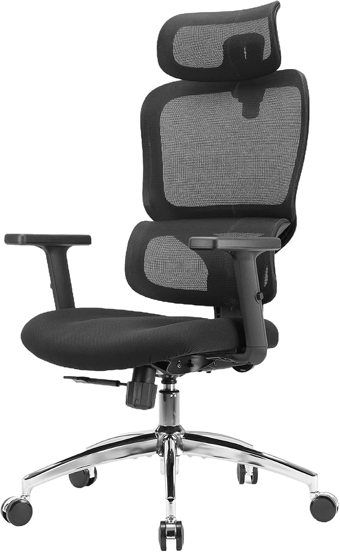SIHOO Ergonomic Office Chair, Desk Chair with Armrests, Computer Chair with Dual Back Design and Adaptive Dynamic Lumbar Support, Dark Black