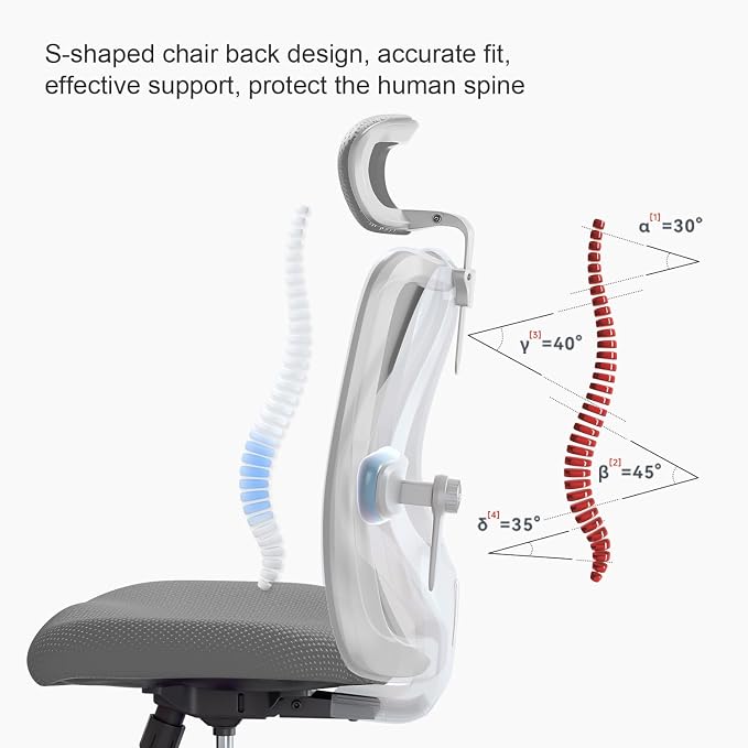 SIHOO M18 Ergonomic Office Chair, Computer Desk Chair with Adjustable Headrest and Lumbar Support, High Back Executive Swivel Chair for Home Office (Dark Gray)