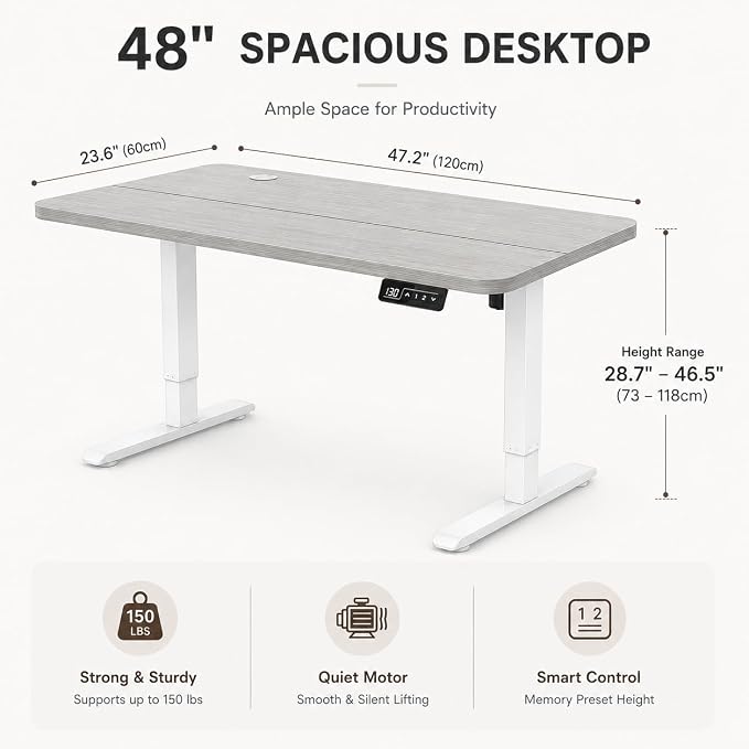 IWAYLIFE 48 Inch Electric Standing Desk, Height Adjustable Stand Up Desk for Home Office, Sit Stand Computer Desk with Memory Presets, Ergonomic Gaming Desk, Grey