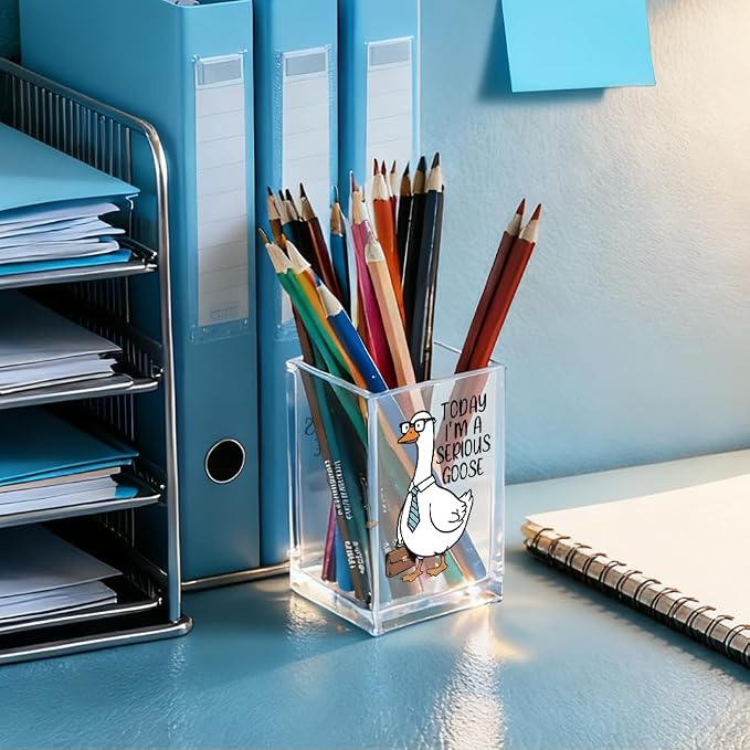 Today I'm A Serious Goose Acrylic Cosmetic Pencil Holder Cup, Funny Silly Goose Pen Holder Gifts For Women Men Friends HR Boss, Office Sarcastic Humor Gifts for Coworkers, Goose Lover Present