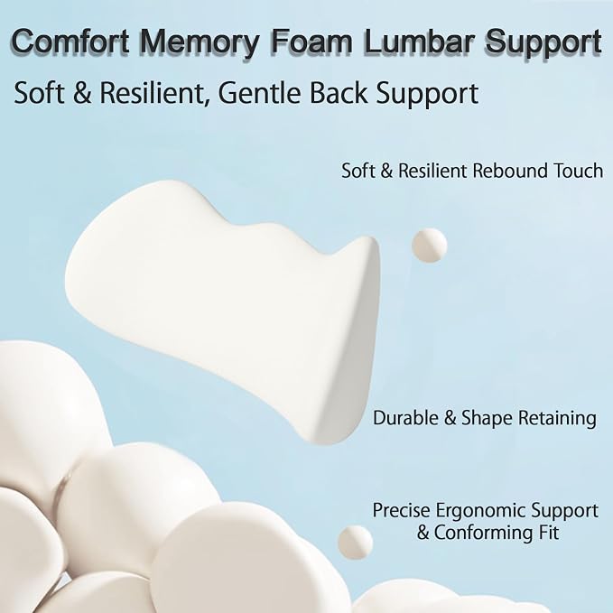 Lumbar Support Pillow for Car, Ergonomic Memory Foam Lumbar Pillow with Breathable Removable Washable Cover fit Car,Office Chair, Back Support for Relaxing & Comfort