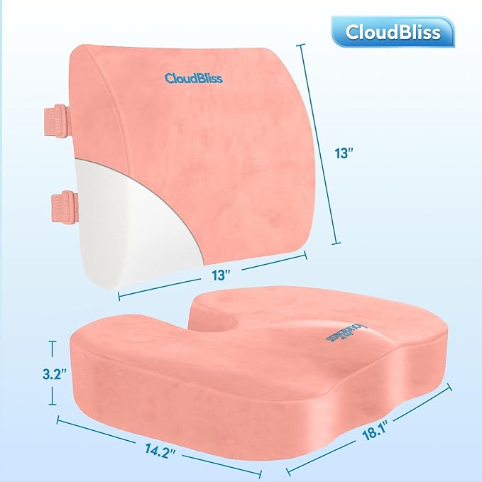 CloudBliss Lumbar Support Pillow & Seat Cushion Set for Office Chair, Desk Chair, Wheelchair & Car – Memory Foam Back Support, Ergonomic Chair Cushions, Sciatica Pain Relief, Home Essentials, Pink
