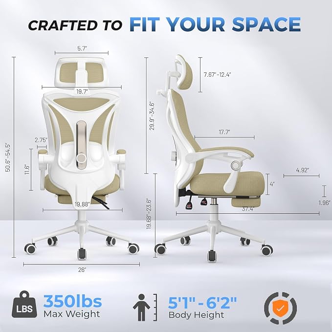 Ergonomic Office Chair - Adjustable Lumbar & Headrest, 90-160° Reclining with Footrest, Breathable Mesh Back - Home Office/Gaming Computer Chair (Modern, Light Grey)