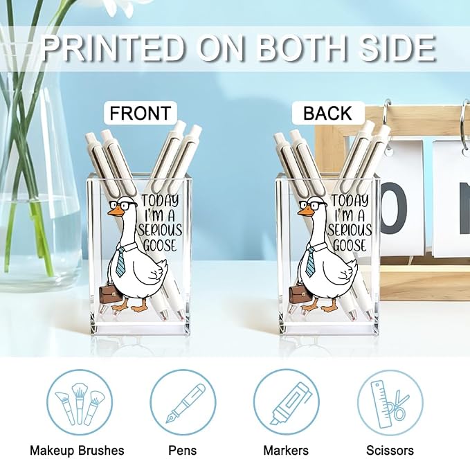 Today I'm A Serious Goose Acrylic Cosmetic Pencil Holder Cup, Funny Silly Goose Pen Holder Gifts For Women Men Friends HR Boss, Office Sarcastic Humor Gifts for Coworkers, Goose Lover Present