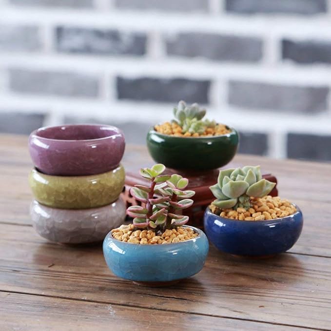 Succulent Plant Pot, 12 Pcs 2.5 Inch Ceramic Ice Crack Cactus Plant Pot/Flower Pot/Container/Planter