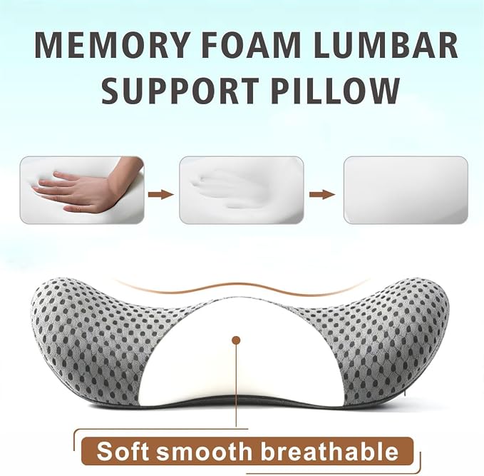 Lumbar Support Pillow for Office Chair, Ergonomic Memory Foam Back Cushion for Lower Back Support, Breathable Mesh Lumbar Cushion for Car Seat, Desk Chair & Long Sitting Relief
