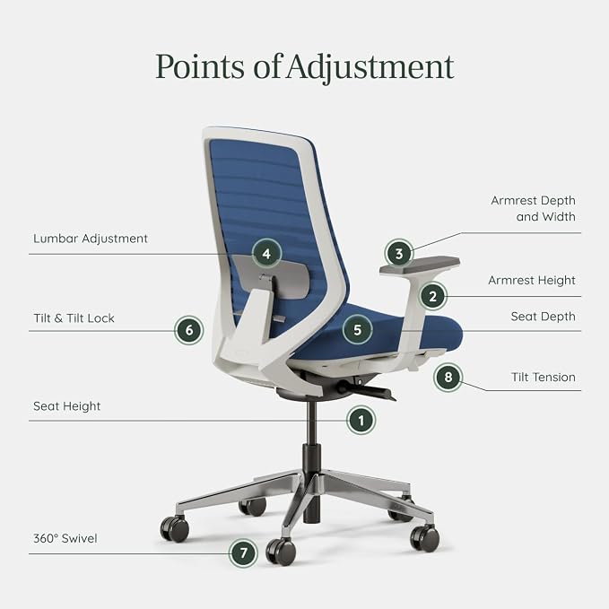 Branch Ergonomic Chair, Versatile Desk Chair with Adjustable Lumbar Support | Breathable Mesh Backrest and Smooth Wheels, Experience Optimal Comfort and Support, Baltic