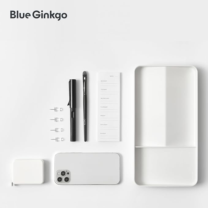 BLUE GINKGO Desk Organizer Tray, White, Made in Korea | Double-Sided. Sloped Design. Easy Access.